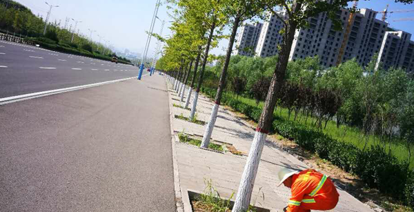 干净整洁的新城大道.png 干净整洁的新城大道.png