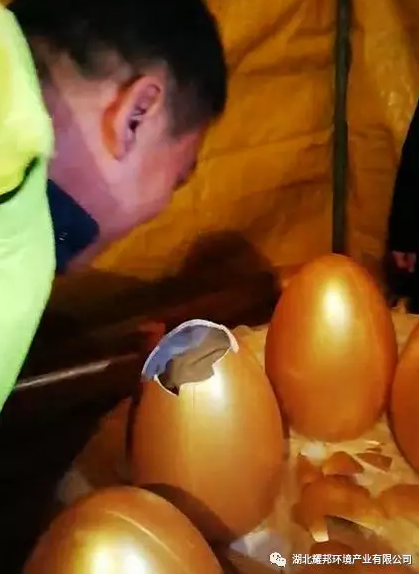 湖北耀邦环境项目部.jpg 耀邦环境项目部5.jpg